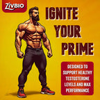 ZivBio Testosterone Booster for Men – Natural Formula | 60 Capsules